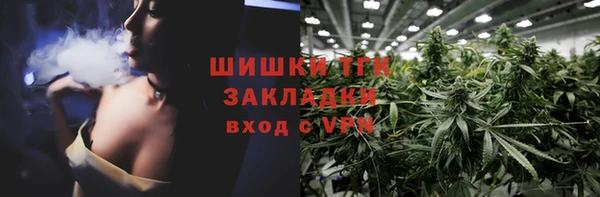 трава Гусиноозёрск