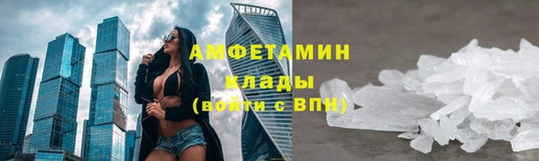 трава Гусиноозёрск