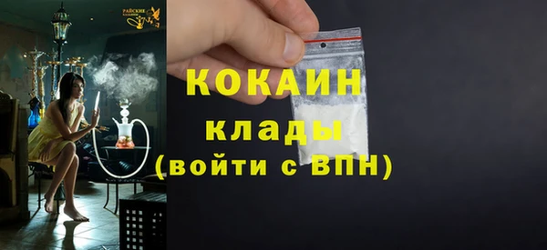 дживик Горняк