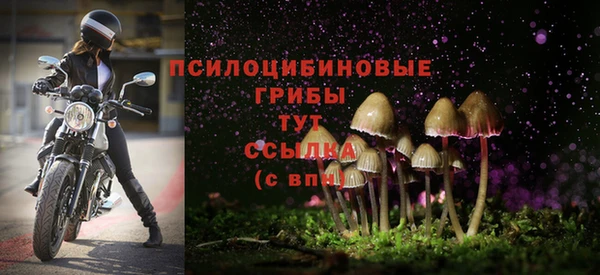 молекула духа Гусь-Хрустальный