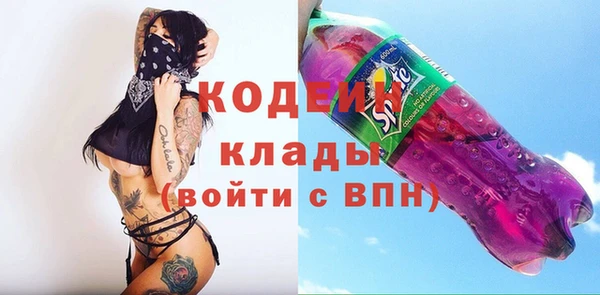трава Гусиноозёрск