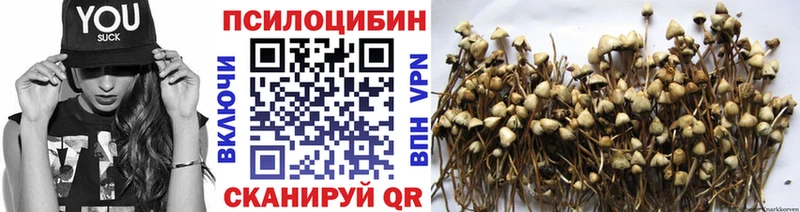 Галлюциногенные грибы Magic Shrooms  OMG как зайти  Кодинск  дарнет шоп 